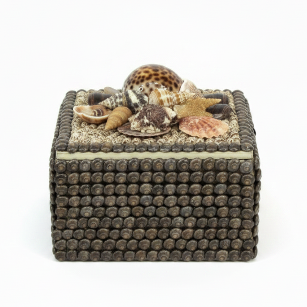 Black Pearled Umbonium Shell Box