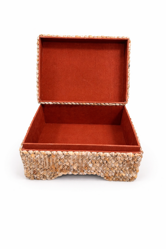 Island Shell Box