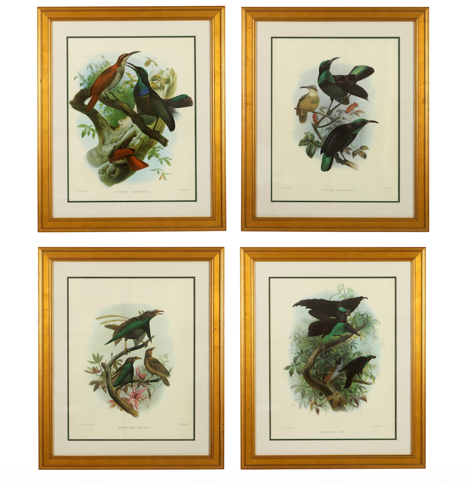 Pair of Bird Prints