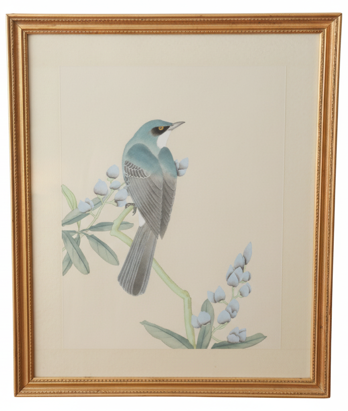 Framed Botanical Bird Print with Gilt Frame (A)