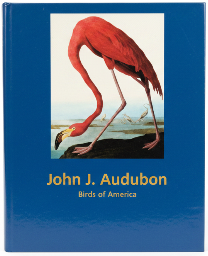 Audubon's Birds of America Helgard Reichholf-Riehm