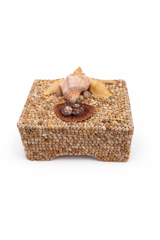 Island Shell Box