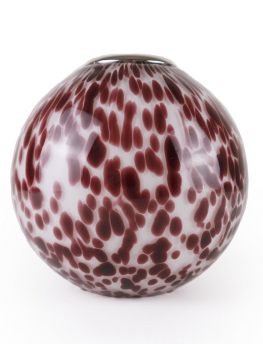 Tortoise Match Striker