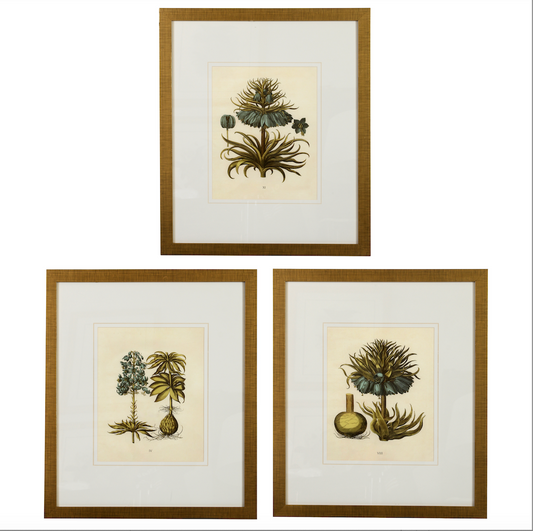 Bessler Botanical Prints
